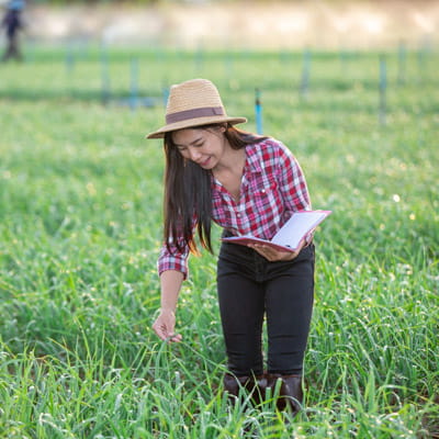 Agriculture